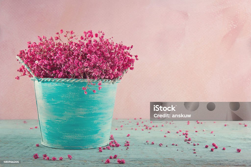 Pink baby's breath flowers on wooden background Pink dried baby's breath flowers in a blue vase on wooden vintage background Antique Stock Photo