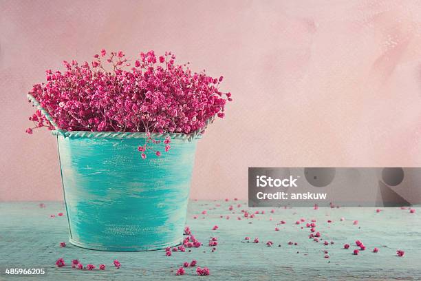 Pink Babys Breath Flowers On Wooden Background Stock Photo - Download Image Now - Antique, Art, Art And Craft