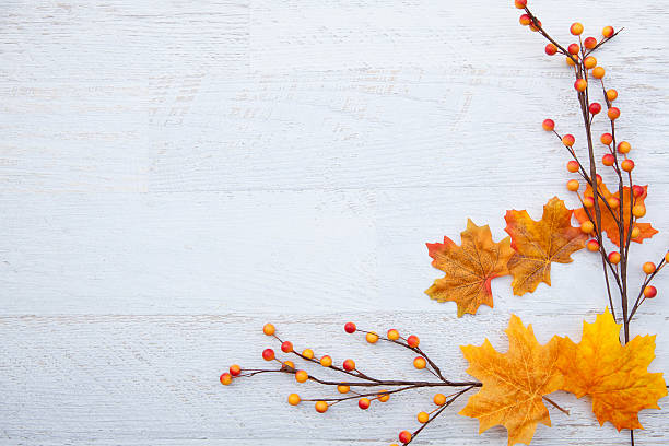 Autum Thanksgiving Background Autumn Thanksgiving BackgroundAutumn Thanksgiving Background september photos stock pictures, royalty-free photos & images