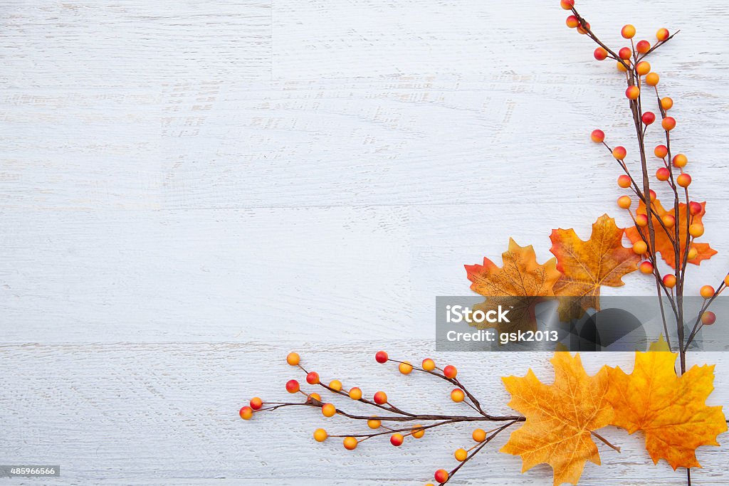 Autum fundo de Dia de Ação de Graças - Foto de stock de Plano de Fundo royalty-free