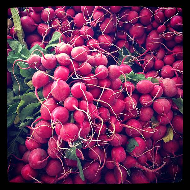 radishes