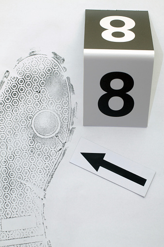 Footprint shoe protector disclosed during the examination.