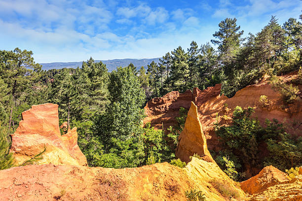 istock Green trees create contrast with the ocher 485968776
