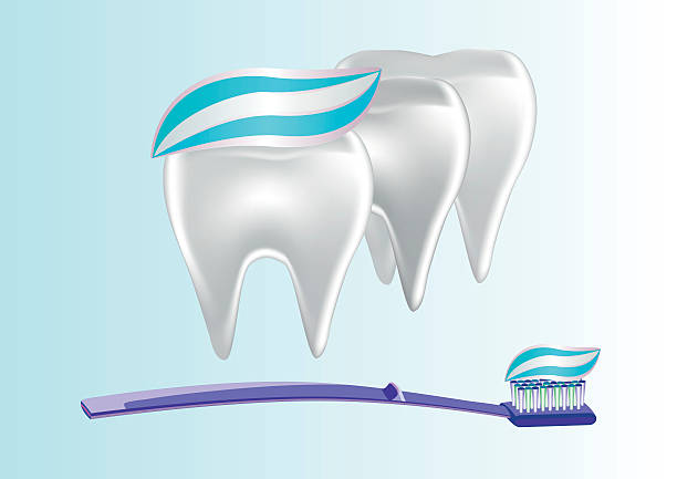 illustrations, cliparts, dessins animés et icônes de bannière dentifrice teeth. illustration - smiling human teeth toothbrush moving up