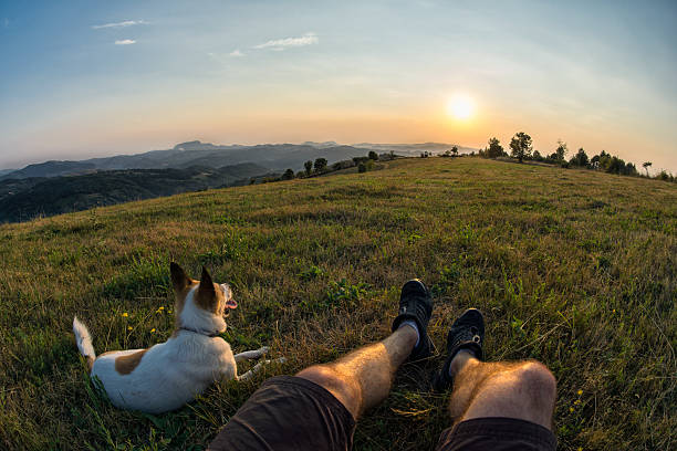 voyageurs et son chien en regardant le coucher de soleil - romanian hay photos et images de collection