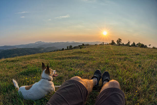 istock traveller and dog watching the sunset 485973208