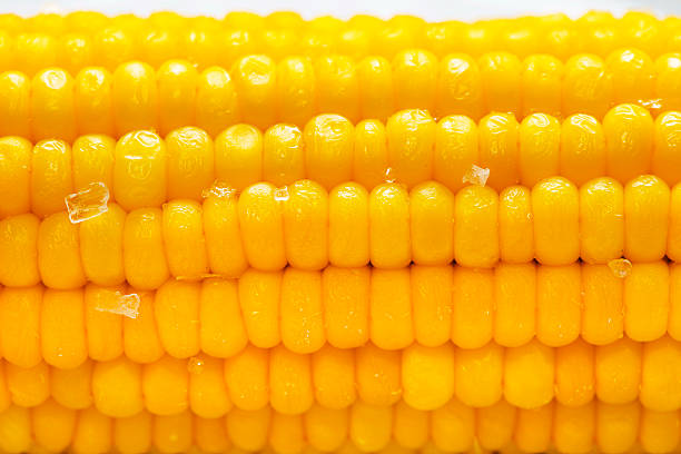 Hot Corn stock photo