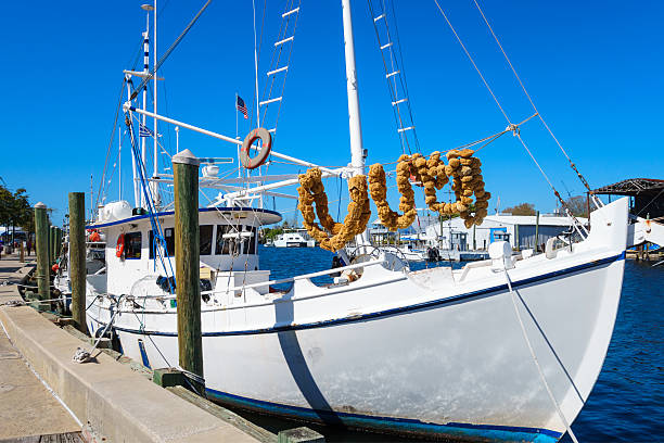 Photo of a boat decorated with sponges docked at the Sponge Docks in Tarpon Springs, Florida, USA