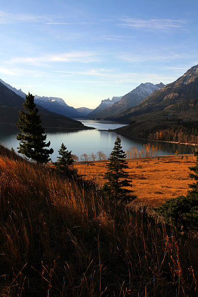 istock Spot of Nature 485979387