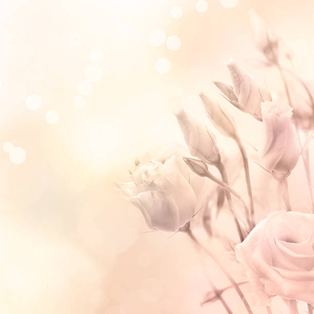 istock Beautiful flowers in magic light, toned photo 485979413
