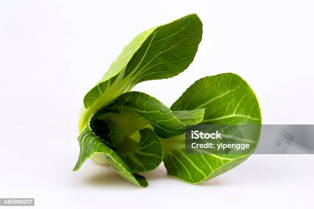 Verde De Vegetais - Fotografias de stock e mais imagens de Agricultura - Agricultura, Alimentação Saudável, Clorofila