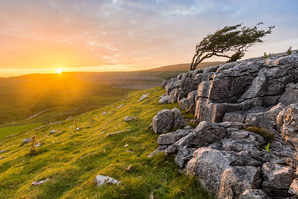 istock Beautful Golden Vibrant Sunset With Rocks And Isolated Tree. 485980138