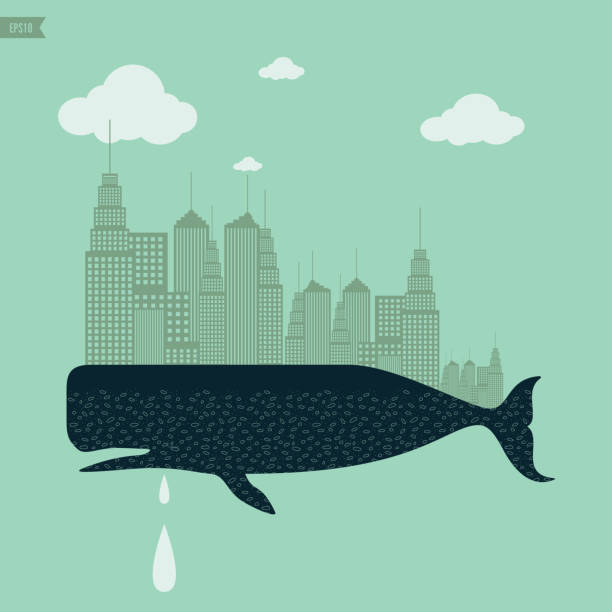 illustrazioni stock, clip art, cartoni animati e icone di tendenza di balena - tear vector illustrations and vector art aciculum