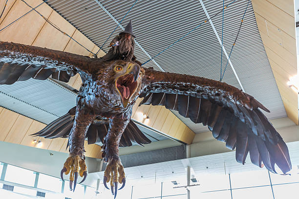 Wellington, New Zealand - September 3, 2014: Sculpture of Gandalf the Grey on a Great Eagle display in Wellington international Airport on September 3, 2014 in Wellington, New Zealand