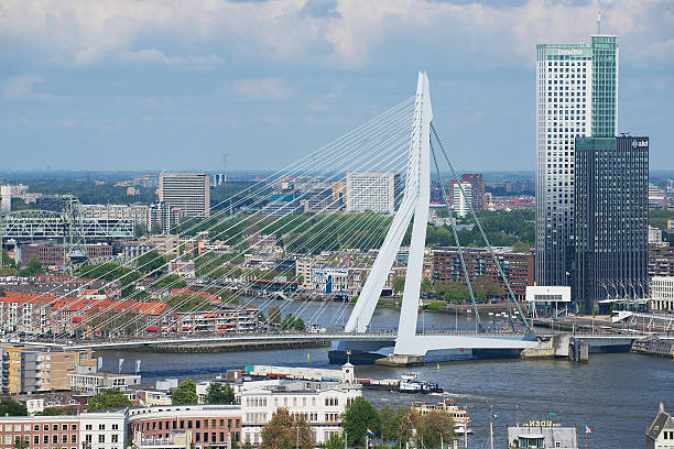 Aerial view to Erasmus bridge in Rotterdam, Netherlands. Rotterdam, Netherlands - June 02, 2013: Aerial view to Erasmus bridge and the city of Rotterdam, Netherlands. desiderius erasmus stock pictures, royalty-free photos & images