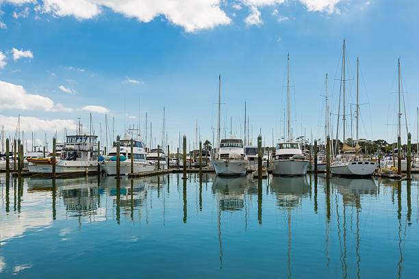 yachten und boote im hafen von auckland, neuseeland - editorial sea white ship stock-fotos und bilder