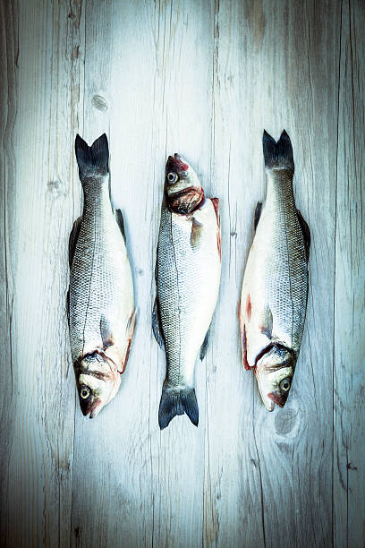 Three raw seabasses