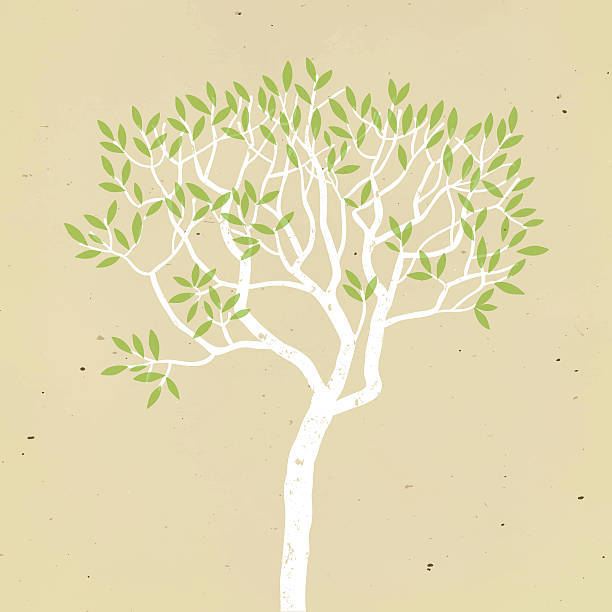 ilustrações, clipart, desenhos animados e ícones de coração em forma de árvore com logotipo - distressed organic autumn backgrounds