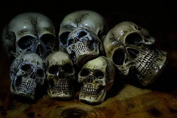 Genocides still life with a human skull