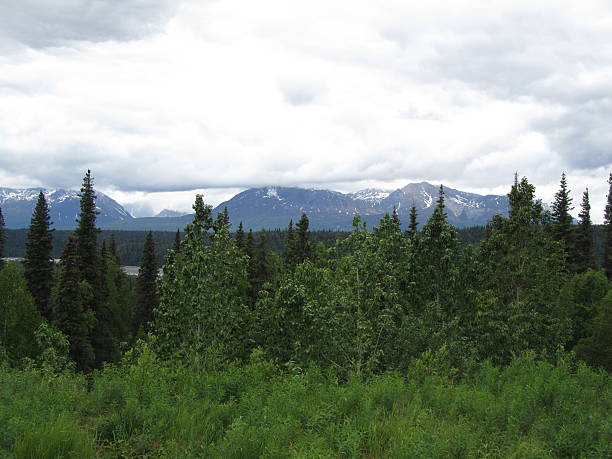 istock Mount McKinley in Denali National park,Alaska 486002379