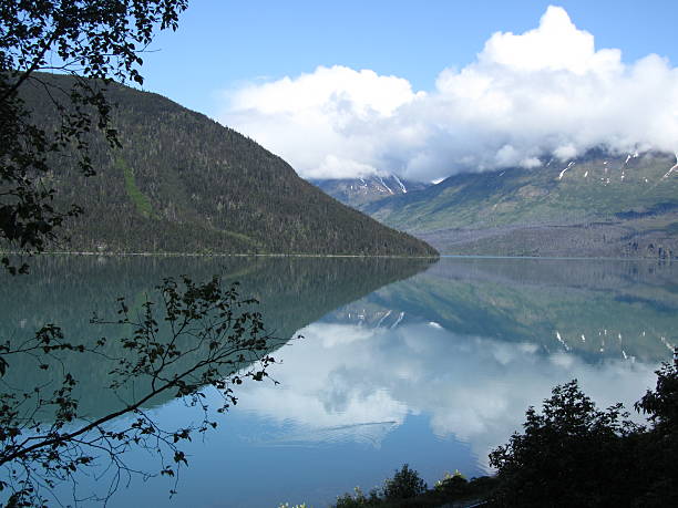 istock Kenai Fjords National Park 486002419