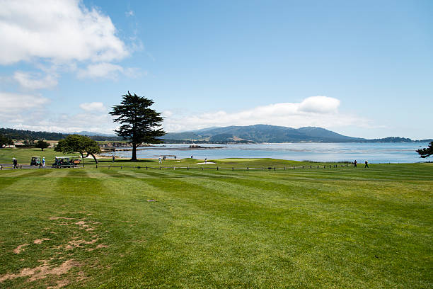 гольф на галечный пляж - pebble beach california golf golf course carmel california стоковые фото и изображения