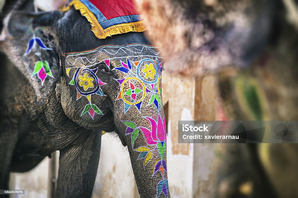 Beleza de elefante - Foto de stock de Elefante royalty-free