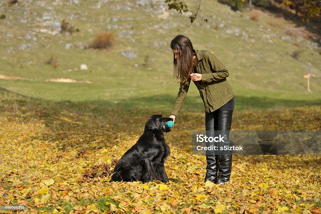 Chien et femme Exercice de récupération - Photo de Adulte libre de droits