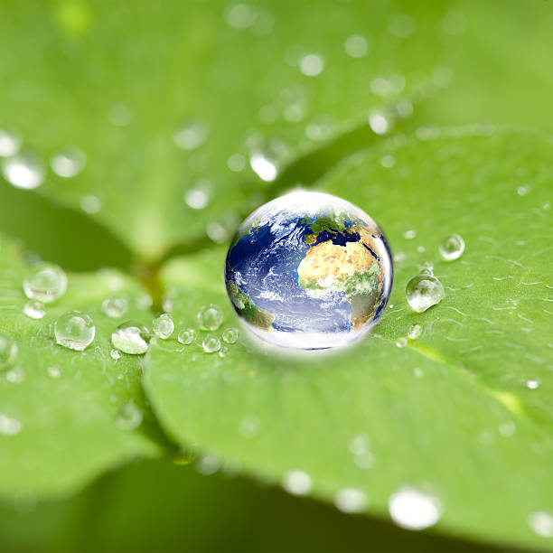 world globe in water drop on cloverleaf stock photo