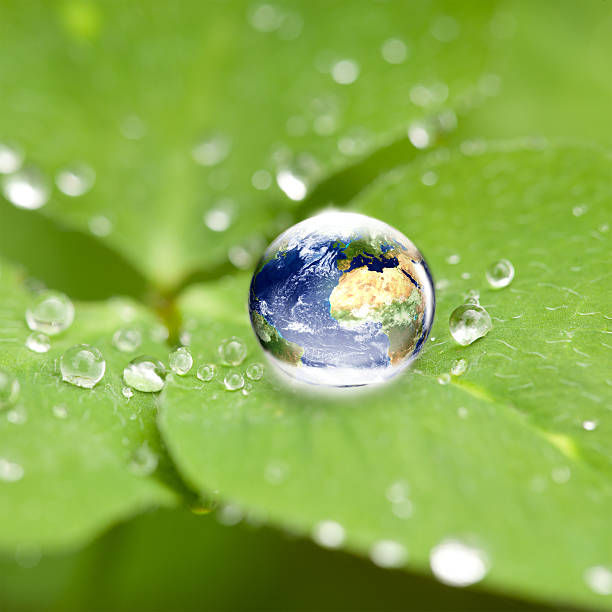 enviornmental conservation concept: shiny globe in waterdrop on cloverleaf. Very small depth of field around the world globe.