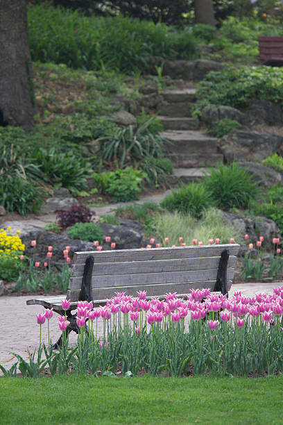 istock Bench in Flowery Garden 486011580