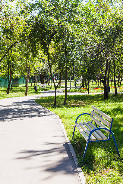 istock empty bench and walkway in urban public garden 486018294