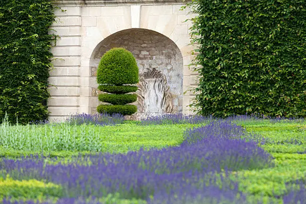 Gardens with the flourishing lavender at castles in the valley of Loire