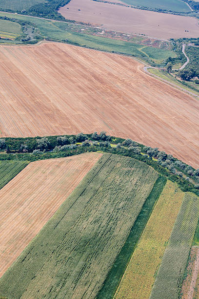 istock airview of the field 486020526