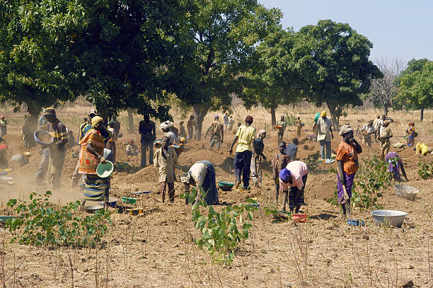 Crafts and clothing sold at the fair in Guinea-Bissau, 2024