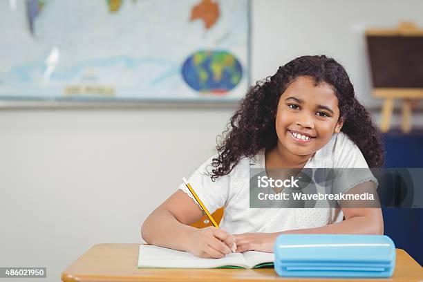 Smiling Pupil Working At Her Desk In A Classroom Stock Photo - Download Image Now - 2015, 8-9 Years, Back to School