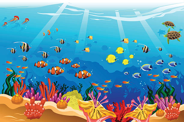 Marine underwater scene A vector illustration of marine underwater scene sea turtle clipart stock illustrations