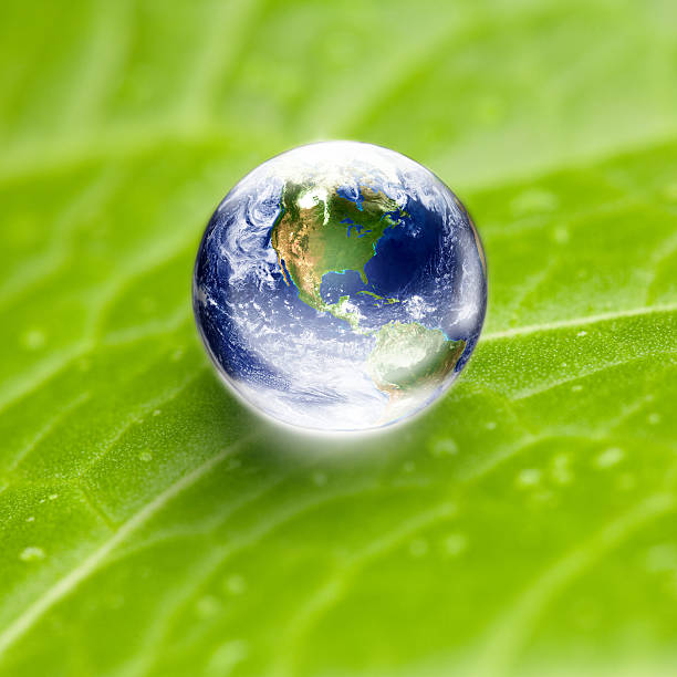 istock US focus world globe in water drop on green leaf 486022695