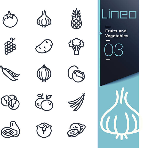 ilustraciones, imágenes clip art, dibujos animados e iconos de stock de lineo de iconos de frutas y verduras resumen - raw potato red potato red vegetable
