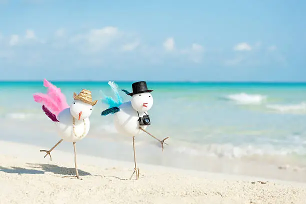 Subject: Snow birds couple escaping winter and vacationing on tropical beach paradise.