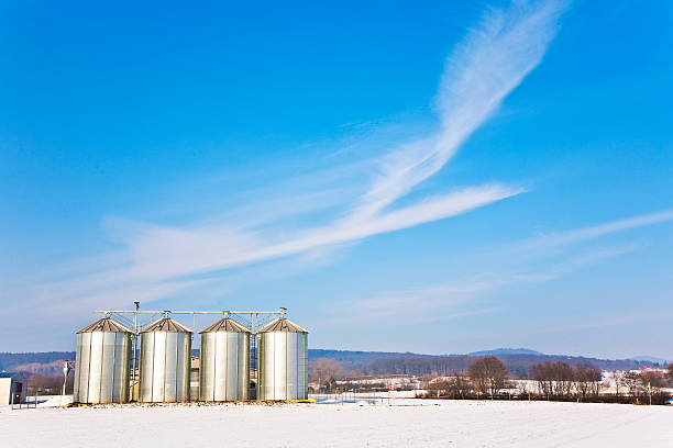 필드에 인공눈 겨울 및 사일로 아름다운 단궤 - corn snow field winter 뉴스 사진 이미지