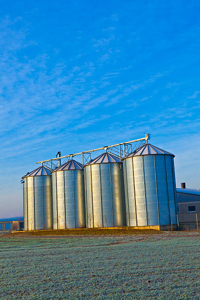 istock silos in the middle of a field in wintertime 486023079