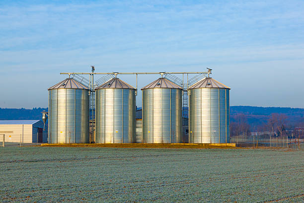 istock field in harvest with silo 486023797