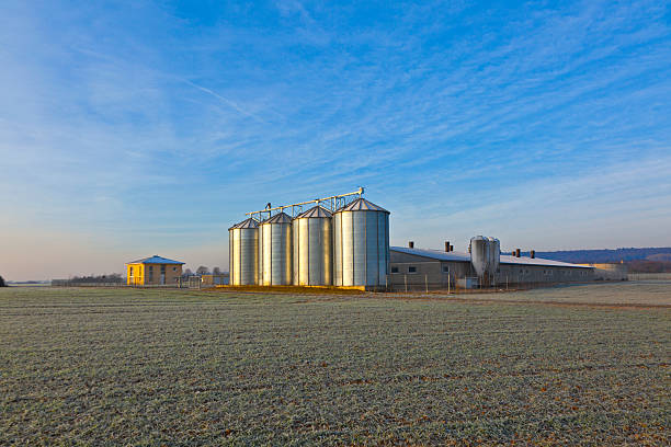 istock silos in the middle of a field in wintertime 486024559