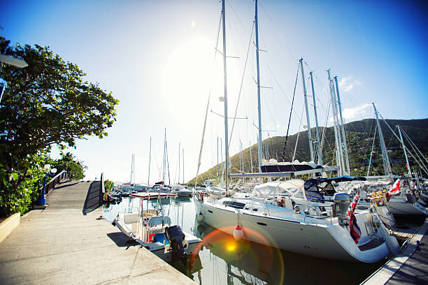 Serene shot of nice sailboats and yachts moored at a marina in a tropical location with nice lens flare for effect.