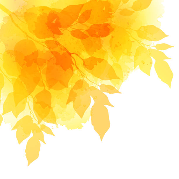 herbst leafs aquarell vektor hintergrund - autumn branch leaf backgrounds stock-grafiken, -clipart, -cartoons und -symbole