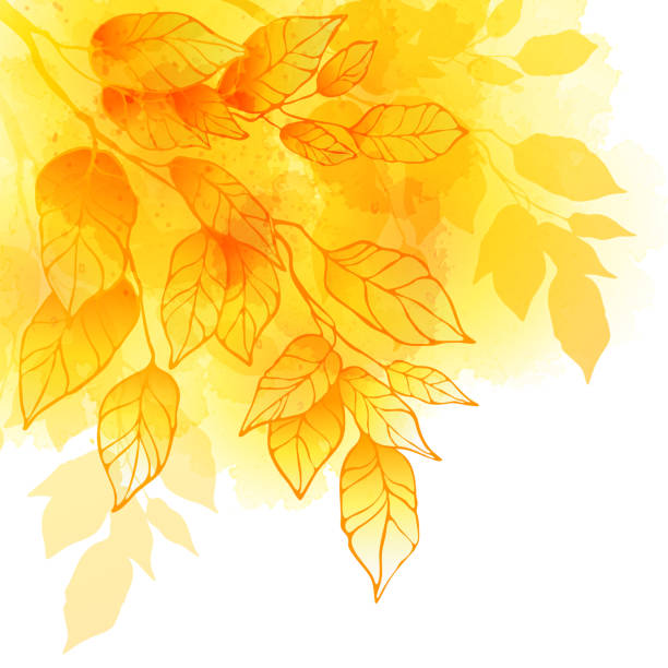 가을맞이 leafs 워터컬러 벡터 배경기술 - color image colored background tree branch stock illustrations