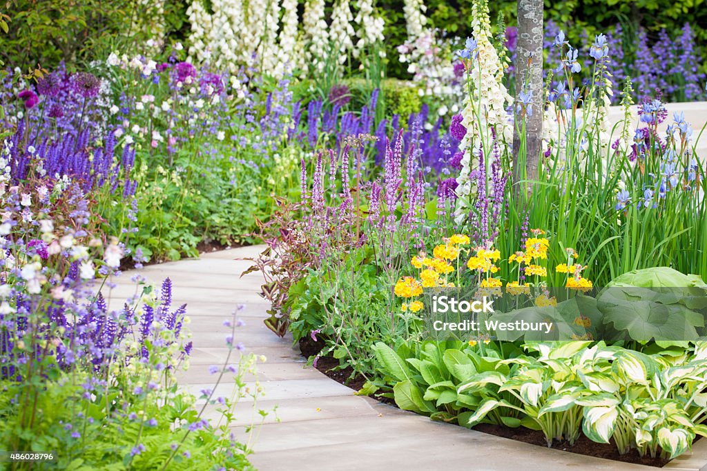 Flower bed Landscaped garden Foxglove Stock Photo