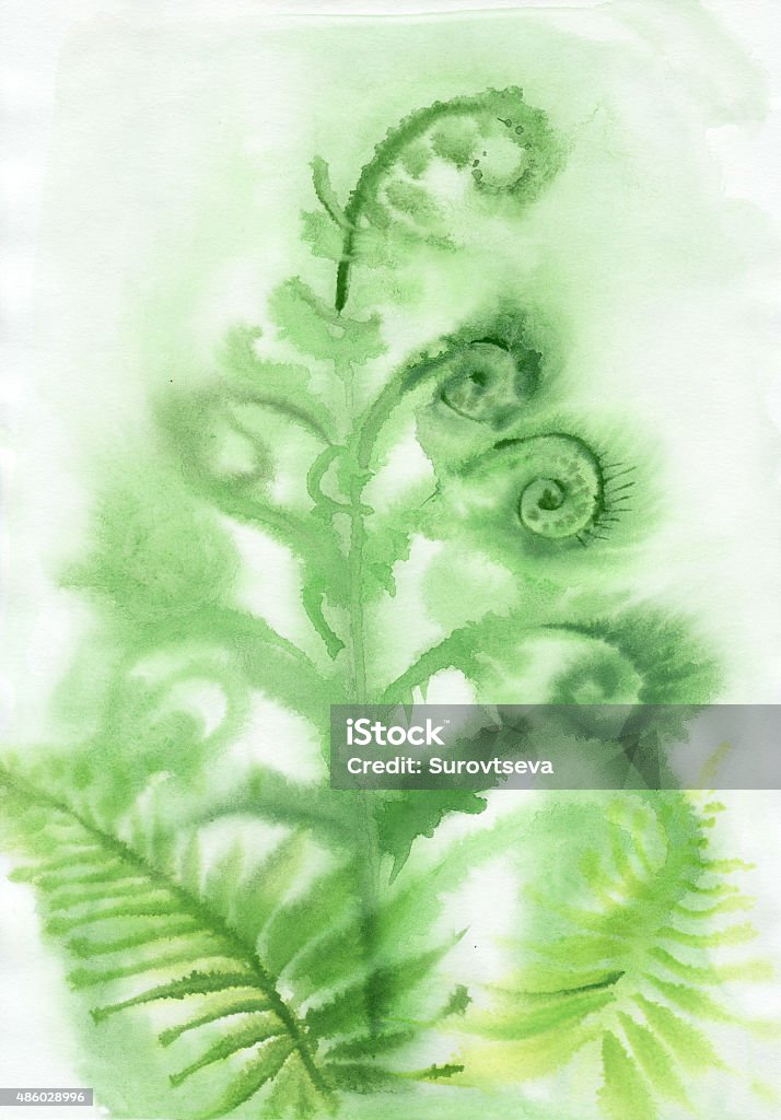 Misty Fern background Watercolor original painting of misty fern. Wet method. 2015 stock illustration