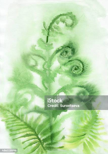 Misty Fern Background Stock Illustration - Download Image Now - 2015, Art, Art And Craft